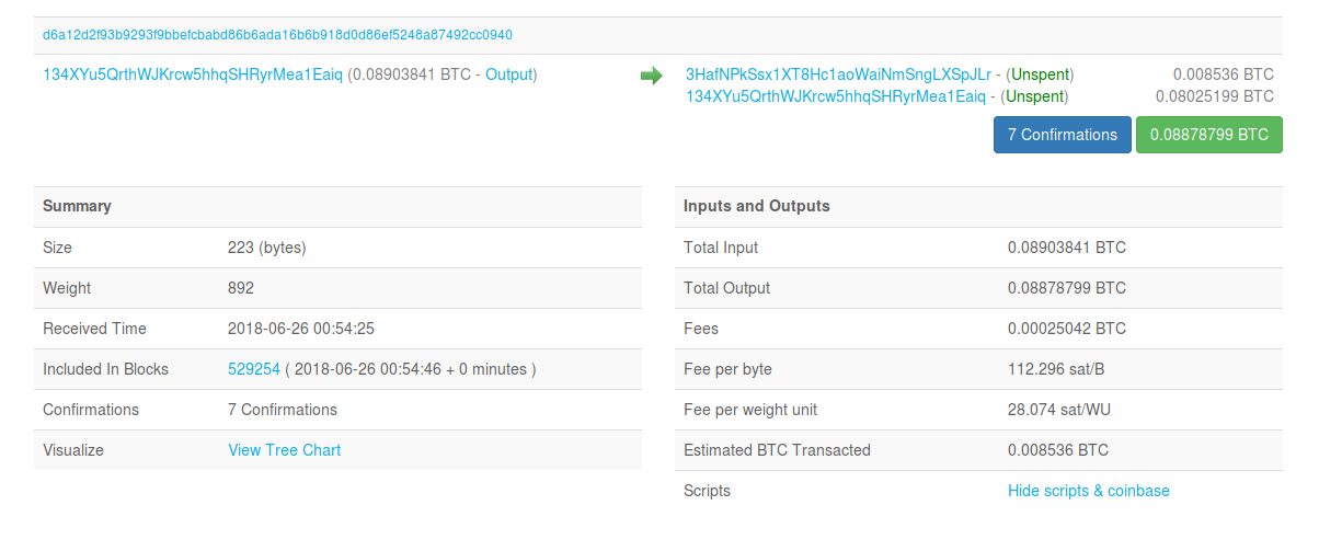 Understanding Bitcoin Transaction Details - 