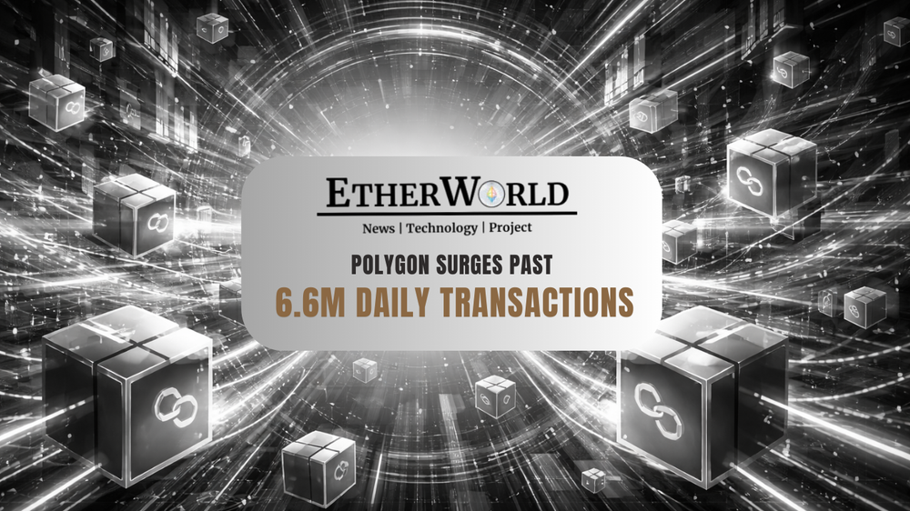 Polygon Records 6.6M+ Daily Transactions