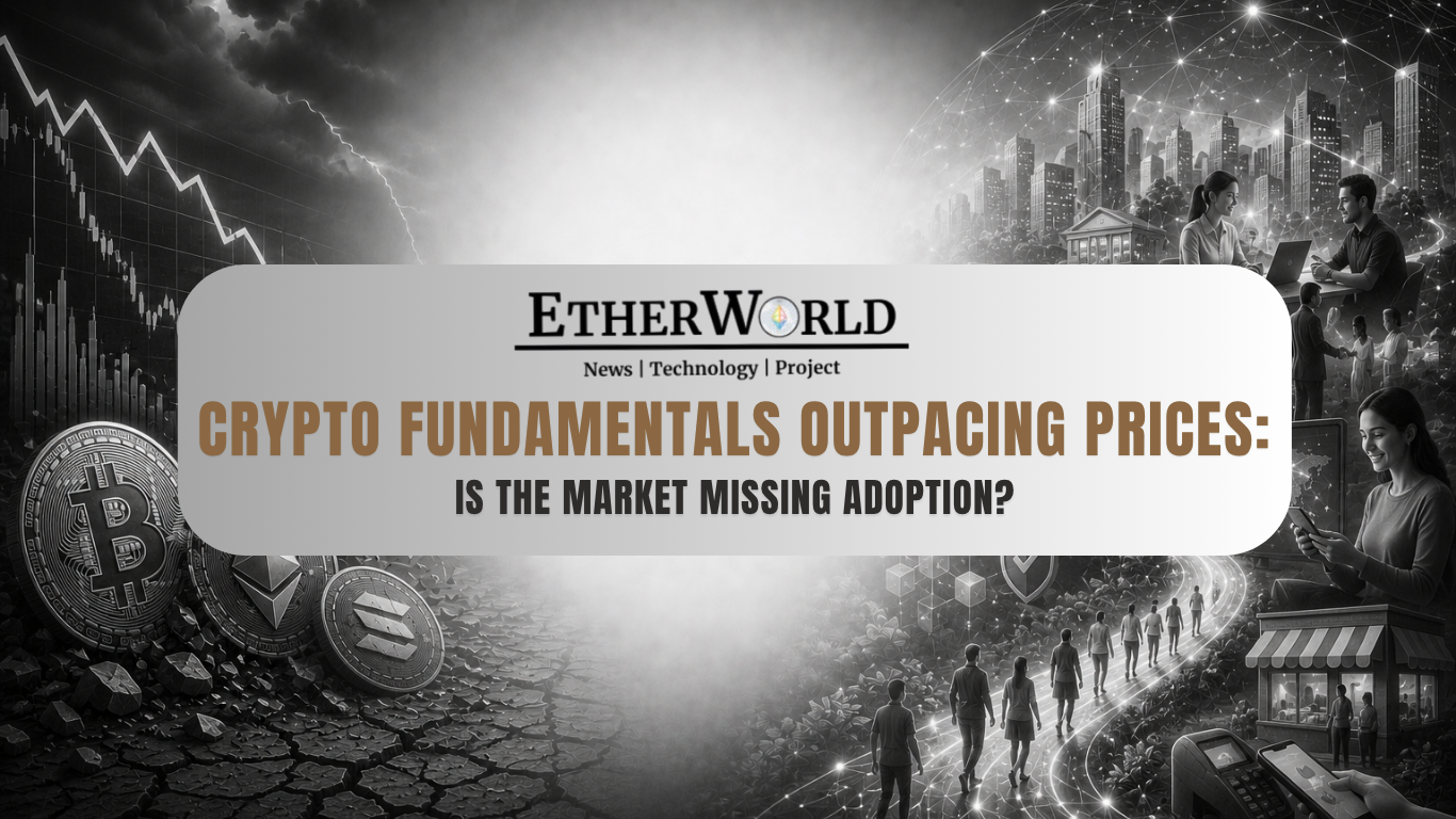 Crypto Fundamentals Outpacing Prices: Is the Market Missing Adoption?
