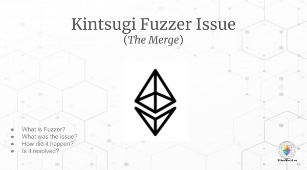 Kintsugi Fuzzer Issue