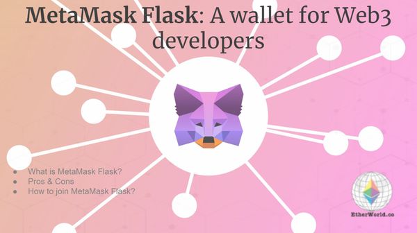 MetaMask Flask: A wallet for Web3 developers