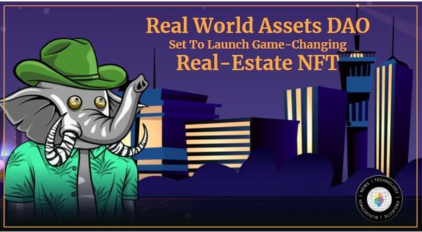 Real World Assets DAO Set To Launch Game-Changing Real-Estate NFT