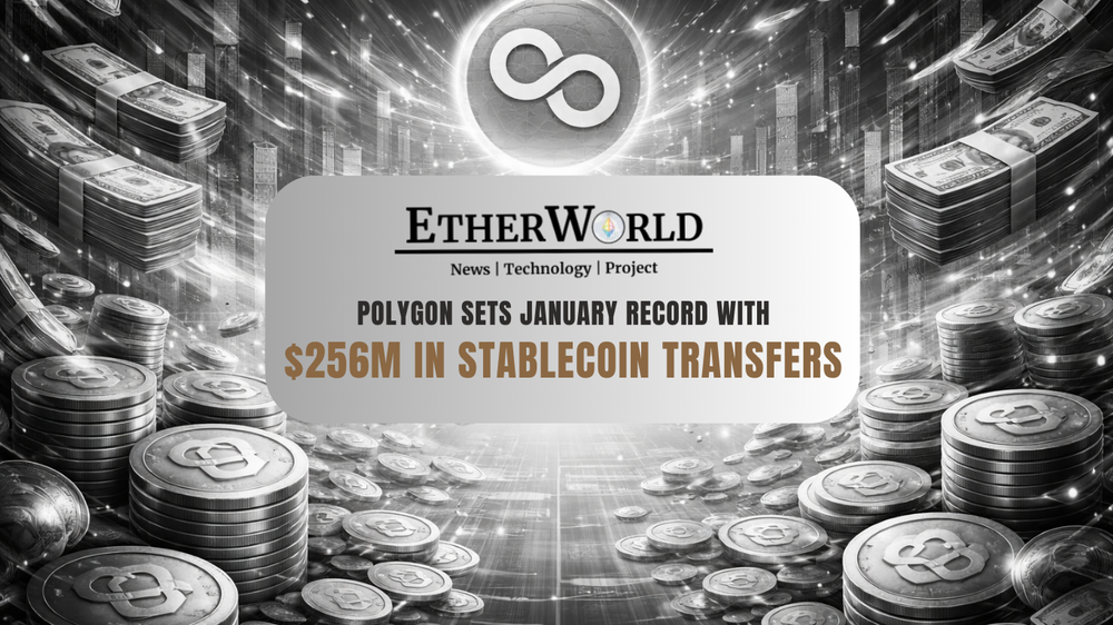 Polygon Sets January Record With $256 Million in Stablecoin Transfers